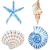 Yookeer 4 Pcs Beach Wall Decor Seashell Starfish Bathroom Decor Rustic Ocean Coastal Summer Themed Wall Art Gifts for Living Room Bathroom Bedroom(Large)