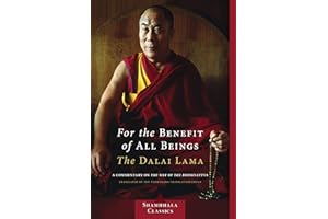 For the Benefit of All Beings: A Commentary on the Way of the Bodhisattva