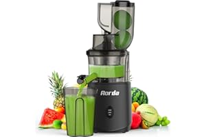 AORDA Slow Masticating Cold Press Juicer: Cold Pressed Juicer Machines For Vegetable And Fruit 200W, Matte Grey