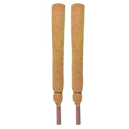 sparKenzy Coir Moss Stick For Plant Support, Brown, 2 feet, 2 Pieces