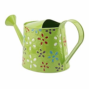 Nuha 2.5 litres Hand Painted Metal Watering Can - Rust Free, Gift, Gifting, Garden, Gardening, Tools