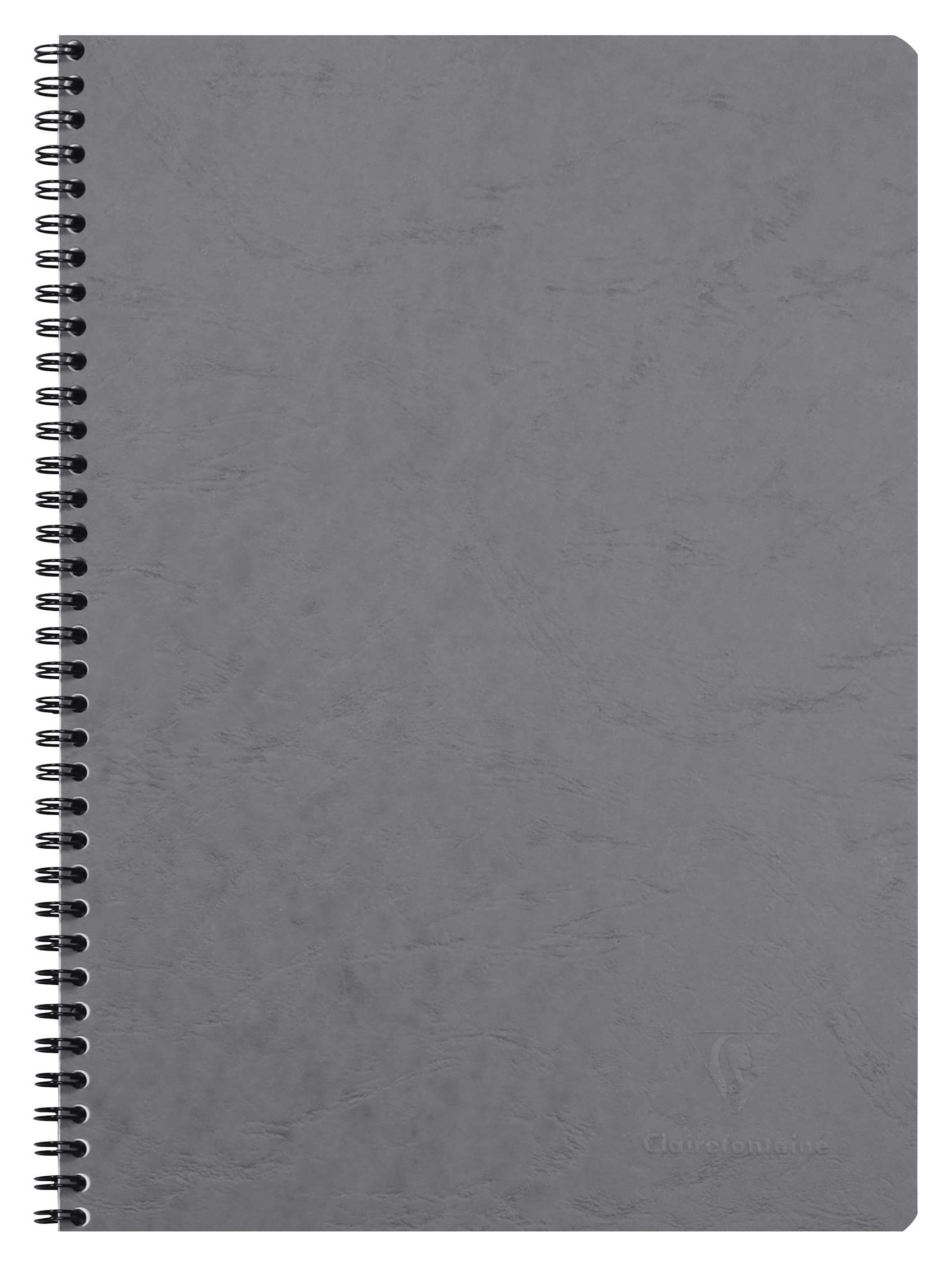 Clairefontaine 781425C Age Bag Collection A Grey Spiral Notebook - A4 21x29.7 cm - 100 Small Square Pages - White Paper 90 g - Glossy Card Cover Leather Grain