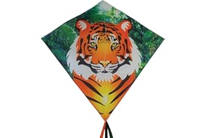 In the Breeze 30-inch Graphic Diamond Kites