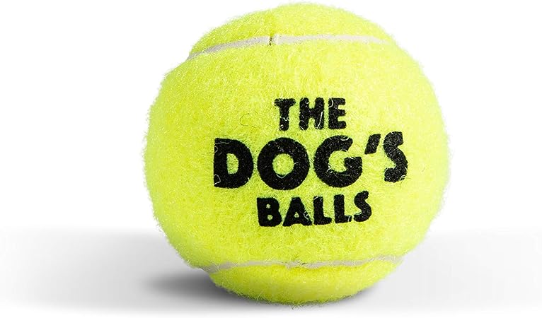 tennis balls for dogs amazon