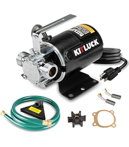Simer BW85P 12-volt DC Utility Pump - Sump Pumps - Amazon.com