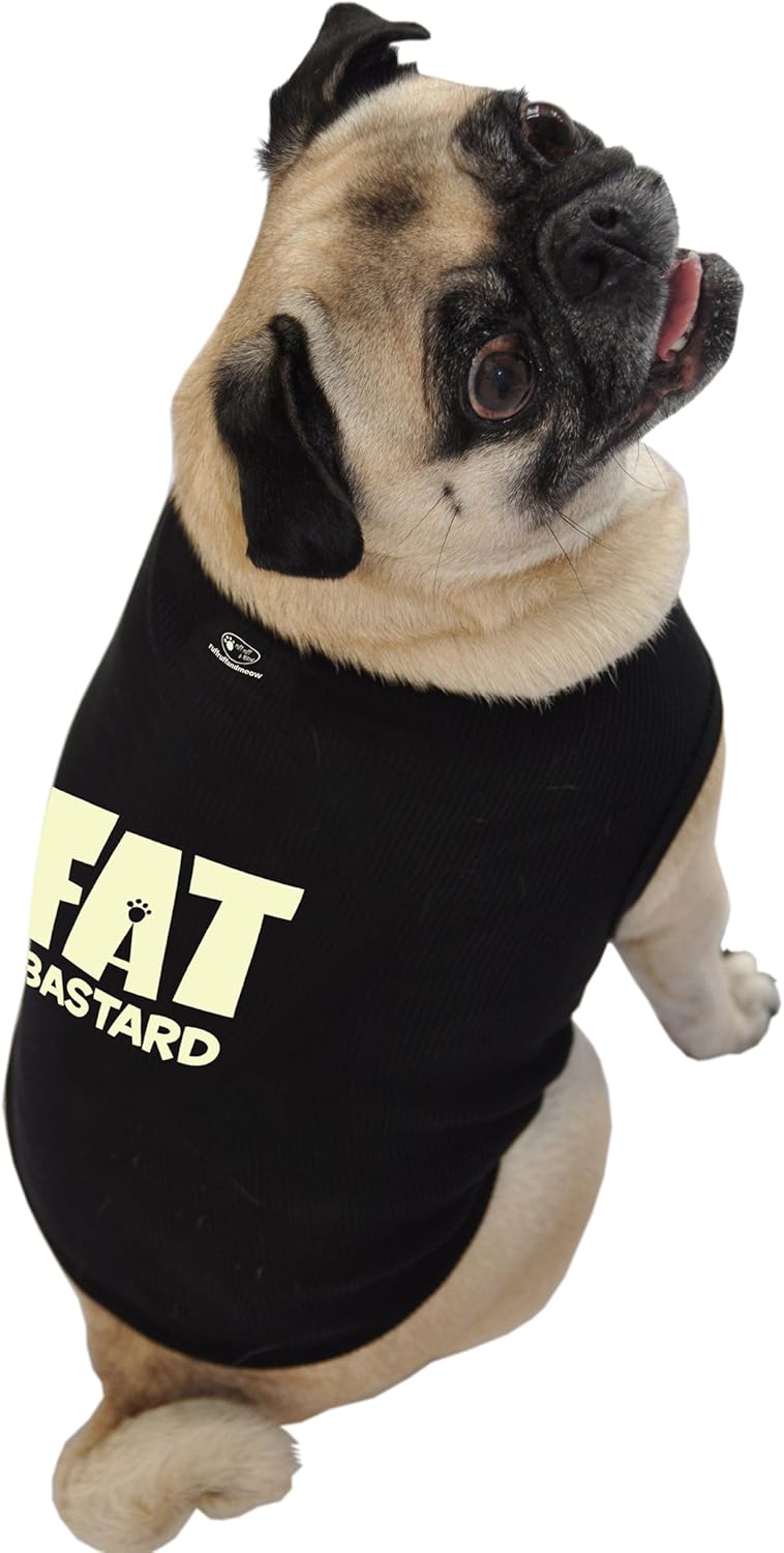 black fat dog