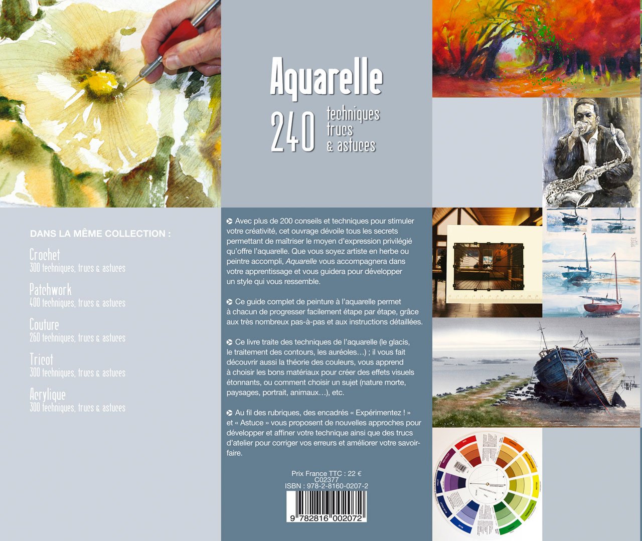 Aquarelle 240 Techniques Trucs Et Astuces Collectif Robin 9782816002072 Amazon Com Books