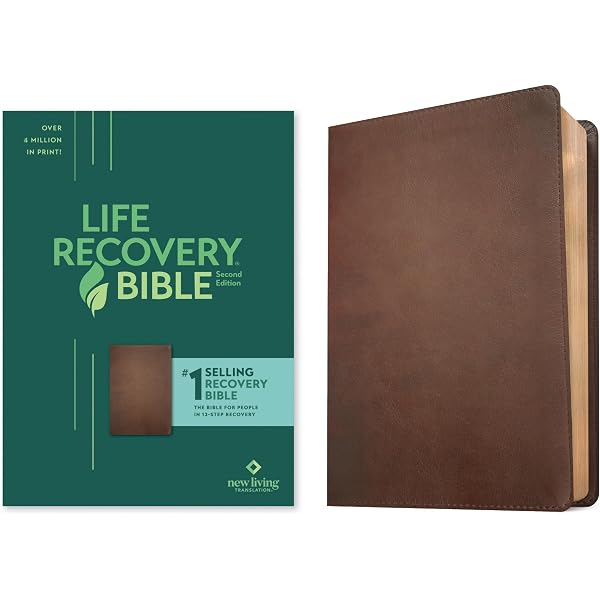 NLT Courage For Life Study Bible for Men, Filament Enabled