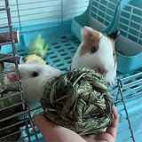 CAMITER 6pcs Timothy Grass Rabbit Chew Ball Small Animal Toys view 6