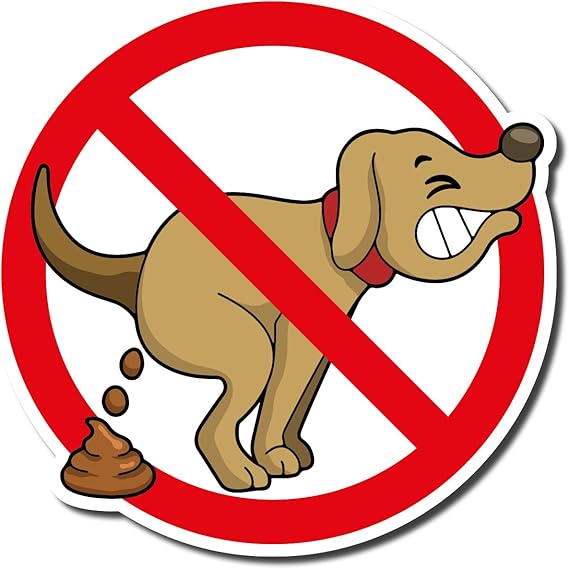 PICO signs Hochwertiges Schild aus Alu Hier kein Hundeklo 210 x 210 mm