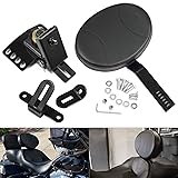 Benlari Adjustable Driver Backrest Rider Backrest