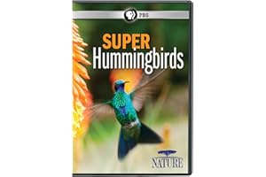 Nature: Super Hummingbirds