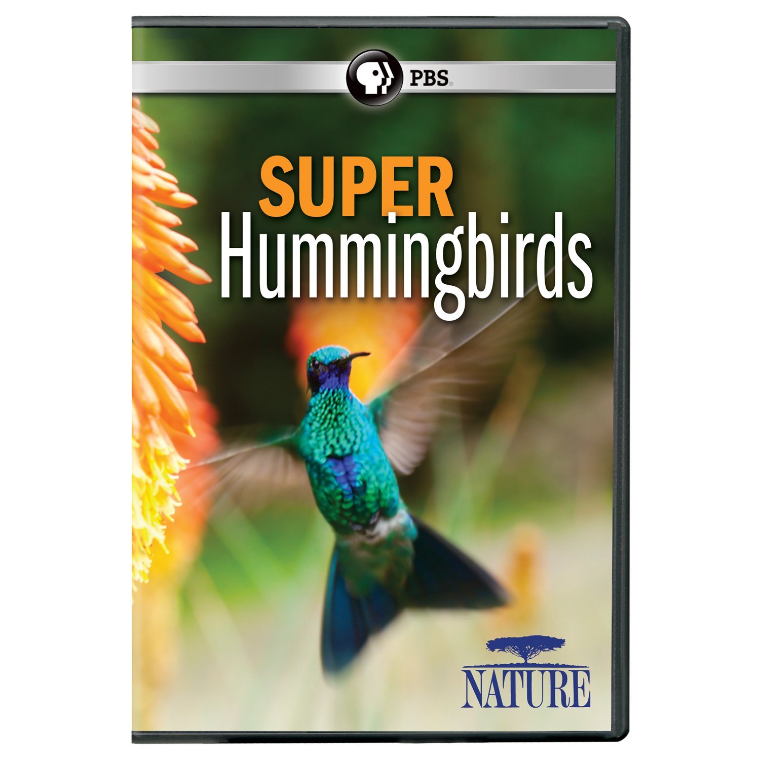 NATURE: Super Hummingbirds DVD