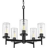 Golden Lighting Winslett 5-Light Chandelier in Matte Black
