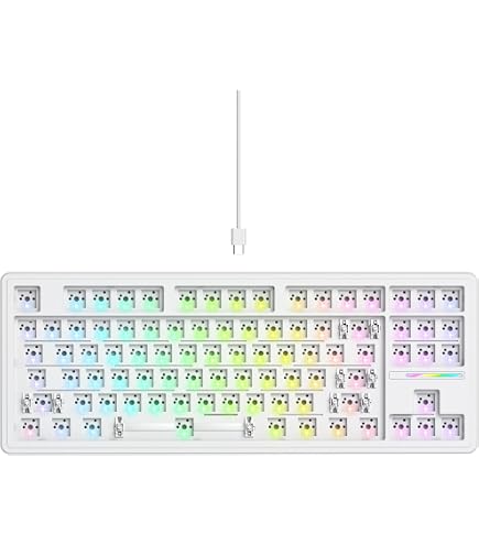 Amazon.com: YMDK GK64 GK64xs RGB Hot Swap Programmable Bluetooth