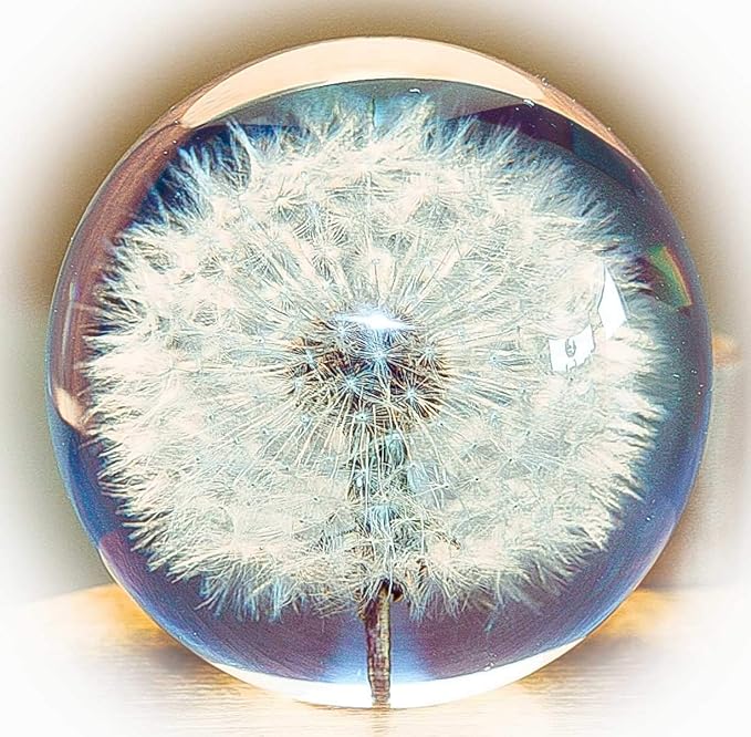 Dandelion Paperweight Amazon.co.uk Kitchen & Home