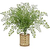Faux Greenery Stems in Vase Aritificial Fern Plant in Glass Vase with Faux Water & Woven Cover Small Fake Desk Plants Greenery Centerpieces for Farmhouse Kitchen Dinner Tables Shelves Plants Decor