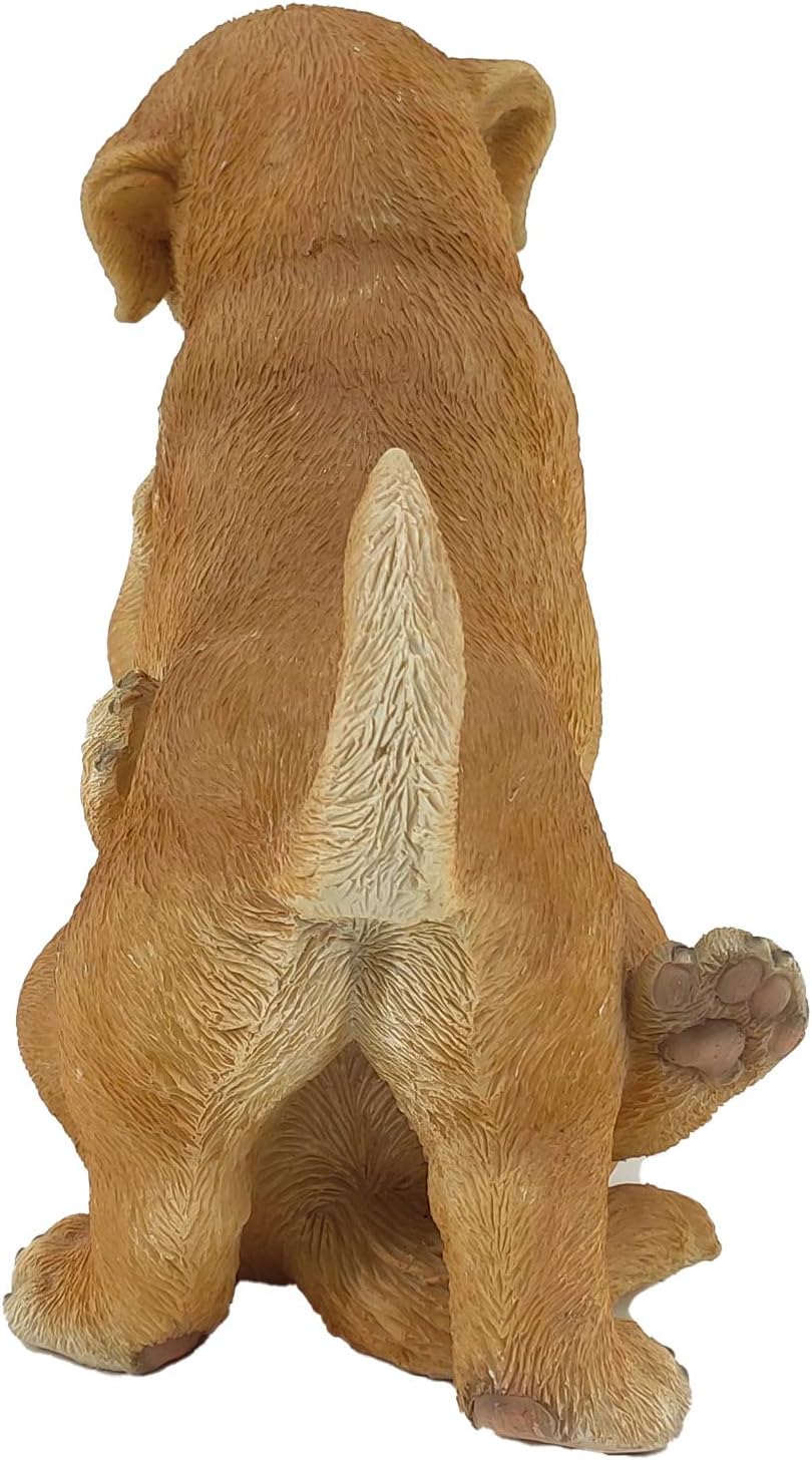 G&H Decor, Garden Labrador Statue, Hand Finished Yellow Lab Realistic Dog with Intricate Detail - Image 5