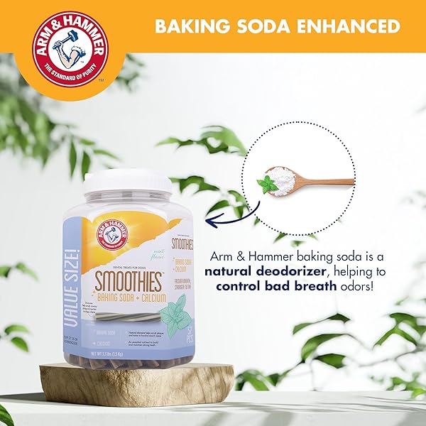 ARM & HAMMER FOR PETS SMOOTHIES DENTAL TREATS FOR DOGS WITH BAKING SODA AND CALCIUM, TREAT CHEWS HELP FIGHT BAD BREATH, PLAQUE & TARTAR WITHOUT BRUSHING, MINT, 57 PCS (PACKAGING MAY VARY)