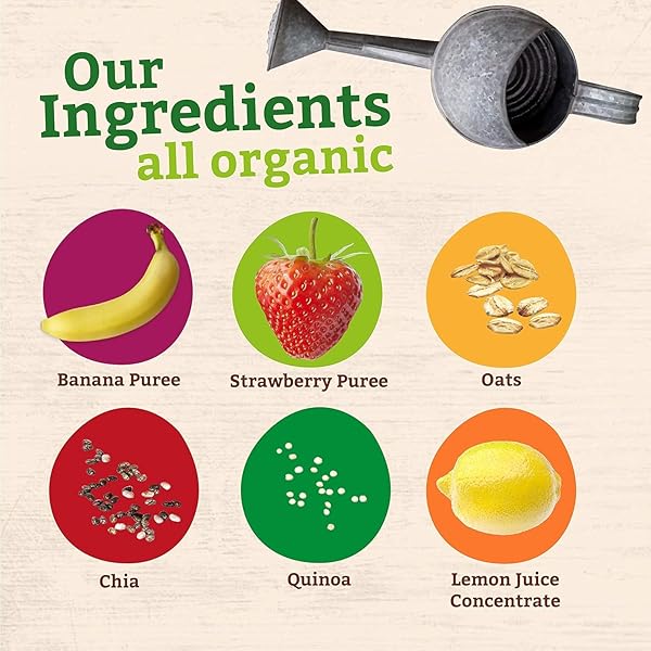 PUMPKIN TREE ORGANICS SUPER OATS & SEEDS, BANANA & STRAWBERRY, 4 OUNCE (PACK OF 10)