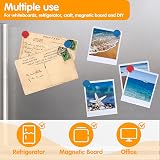 Wukong 24 Pack Round Magnets 30mm Blue Red Whiteboard Fridge(Magnetic) view 3