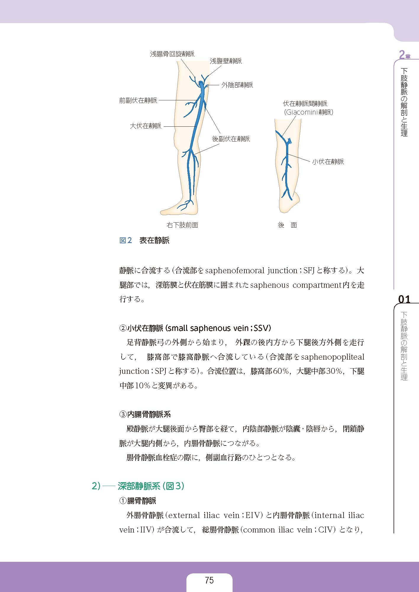 標準下肢静脈エコー 動画を含む電子版付 Amazon Com Books
