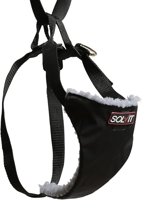 solvit dog car harness