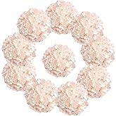 DH EYB 10 pcs Hydrangea Artificial Flowers, Silk Artificial Hydrangea Head with Stem Hydrangea for Bridal Wedding Baby Shower Home Party Decoration (Blush Pink)