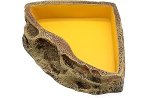 Reptile Feeder Resin Bowl Amphibian Reptile Bowl for Lizard Gecko Bearded Dragon Turtle