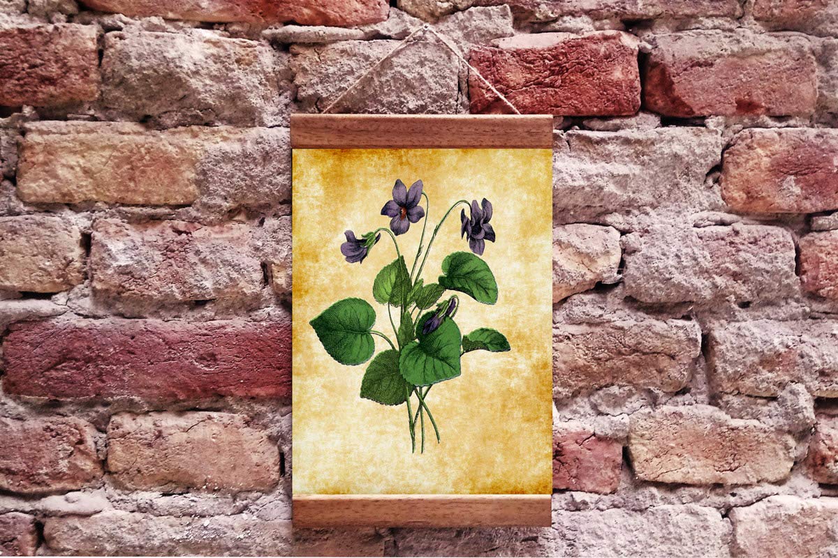 Violets Vintage Botanical Wood Framed Canvas Print, Vintage