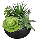 Fake Plants Artificial Succulents in Pots Faux Succulent Arrangement Potted Plant with Black Ceramic Pot for Home Decor Modern Office Desk Bathroom Shelf Living Room Indoor & Outdoor Decoration