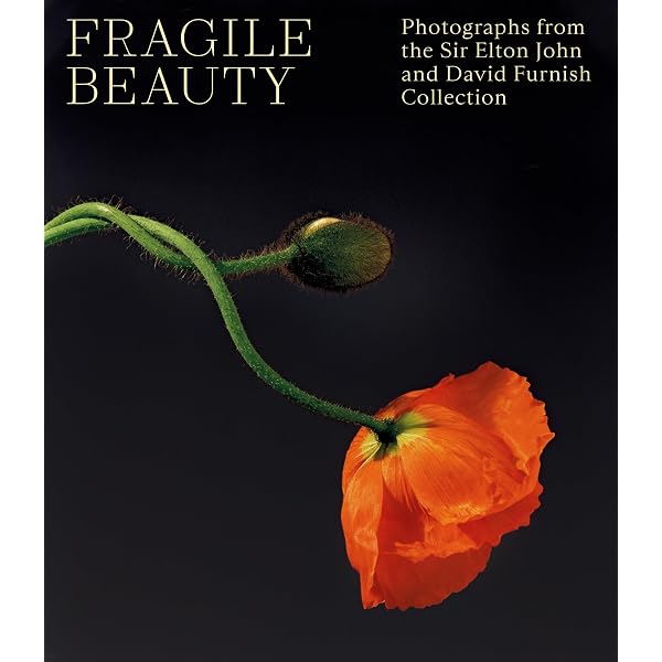 The Bad and the Beautiful: Photographs by Ellen Graham: Ellen