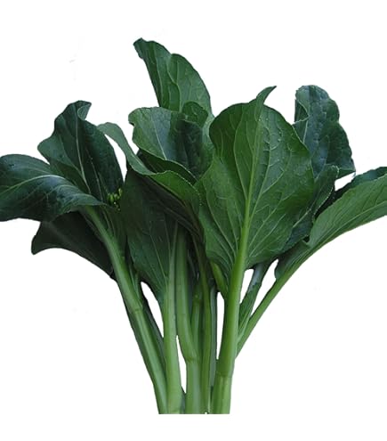なーさん様あて Ninth Peel&Patrick Vegee Amazon.com : Spinach