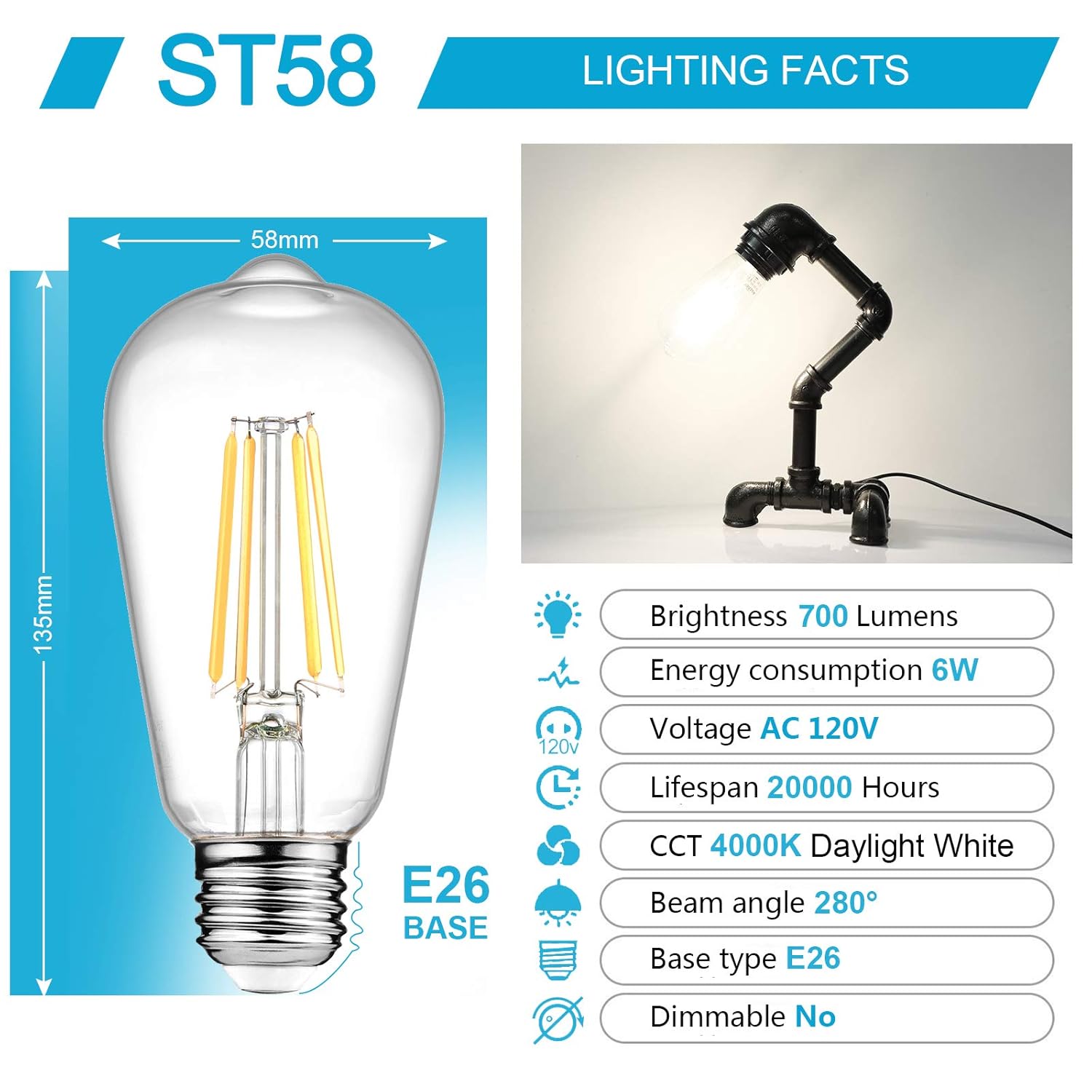 High Brightness Daylight White 4000K Ascher LED Edison Bulbs 6W ST58