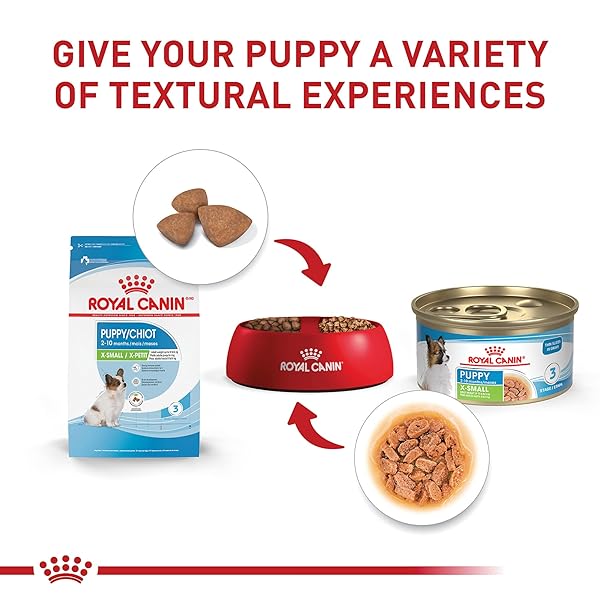 ROYAL CANIN SIZE HEALTH NUTRITION X-SMALL PUPPY DRY DOG FOOD, 3 LB BAG