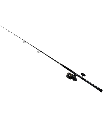Amazon.com : Daiwa BG5000/701H BG Saltwater Pre-Mounted Combo