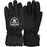FOCO NFL unisex-adult Nfl Team Big Logo Ski Winter Insulated Gloves