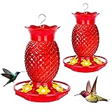 Fchstaer Glass Hummingbird Feeders for Outdoors