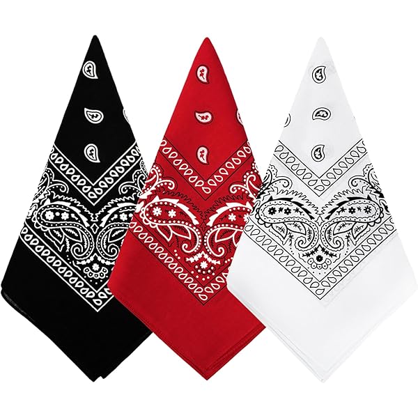 Amazon.com: URSKYTOUS 2 Pack 100% Cotton Bandanas for Men & Women