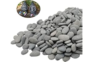 Lifetop Tiny River Rocks, 0.5"-1.0" Pebbles for Plants & Succulents, Decorative Outdoor Landscaping Garden Rocks, Natural Pebbles Aquarium Rocks Gravel for Flower Bed Fish Tank Plants Vases (1LB)