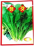 Crown Daisy Seeds Korean 2pack