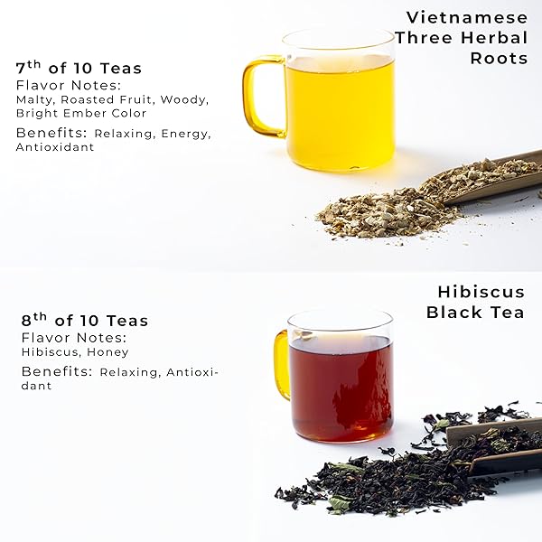 SACHS TEA 1773 FOUNDER’S ASSORTMENT – ORGANIC ASSORTED LOOSE LEAF TEA – 30 SACHETS – GREEN, BLACK, RED, WHITE, YELLOW, HERBAL TEAS – FRESH FLORAL, ROASTED FRUIT, MALTY, WOODY, HERBACEOUS NOTES – SUGAR-FREE, NON-GMO, KETO-FRIENDLY
