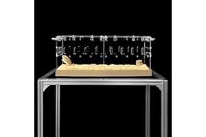 GuineaLoft™ Acrylic Cage (Model-P3) - Small 2x1 ft Enclosed w/Lid & Bottom for Hamsters, Rats, Mice, Gerbils, Also Works for a Single Guinea Pig, or as a Transport Cage