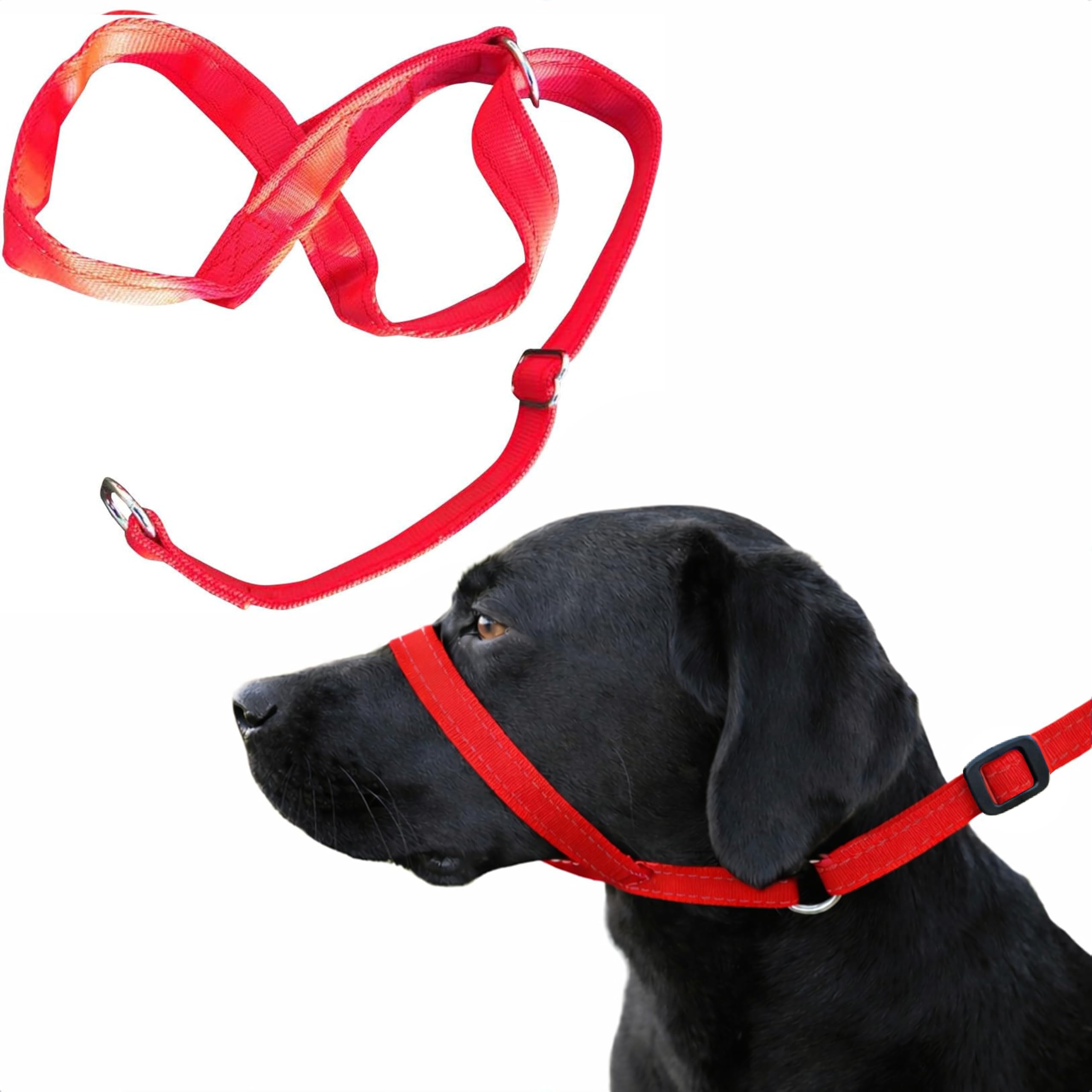 Gencon - Extra-Wide Anti Pull Dog Headcollar - Trainer Approved - Soft & Gentle Control - Practical Dog Training & Behaviour Aid - Right Hand - UK Made - Doesn't Include Lead - Red