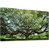 Green Big Tree Canvas Wall Art -Large Nature Tree Art Wall Decor Framed for Office Bedroom Living Room-20x40inch