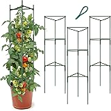 LOMNYIY Tomato Cage - Premium Tomatoes Plant Stakes Support Cages Trellis for Garden and Pots ,Multi-Functional Climbing Vege
