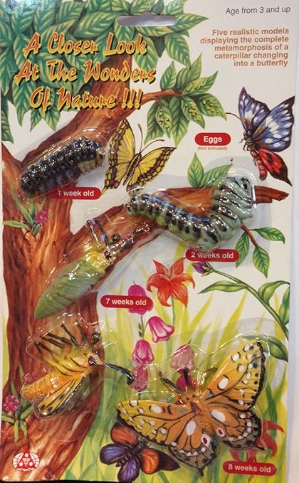 butterfly life cycle toys