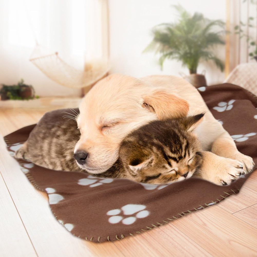 Comsmart Warm Paw Print Blanket/Bed Cover for Dogs and Cats, 6 Pack of 24x28 Inches : Pet Supplies