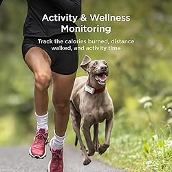 Petcube GPS Tracker for Dogs | Pet GPS Location