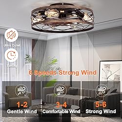 SHLUCE Caged Farmhouse Ceiling Fan with